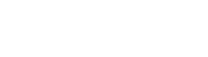 Fitbit